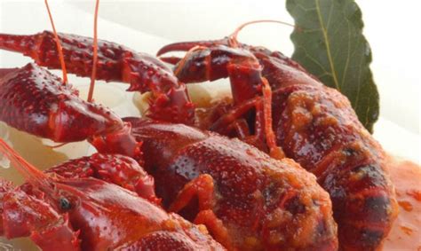 Además, es un crustáceo acuático muy resistente a las enfermedades y a la. Receta de Cangrejos de río a la riojana - Karlos Arguiñano