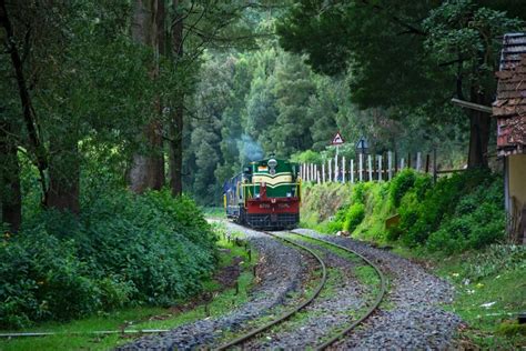 Nilgiri Mountain Railway A Complete Guide