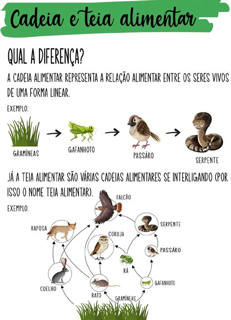 Desenhos De Cadeias Alimentares