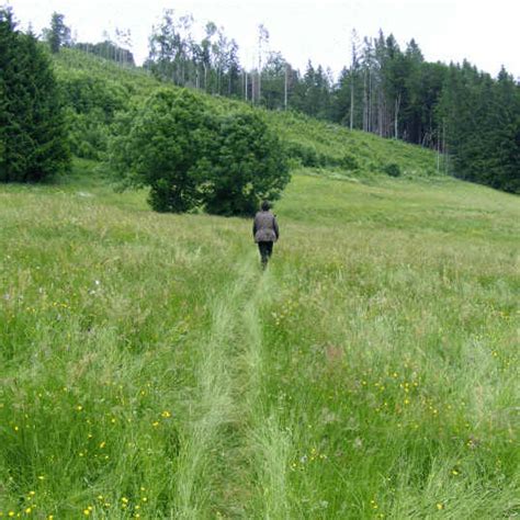 Schwarzenberger weiher ist liegt nördlich von kressen. Schwarzenberger Weiher