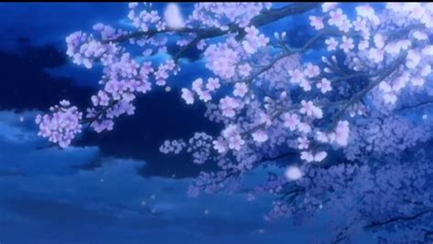 121 Best Sakura Anime Images On Pinterest Anime Art Anime Scenery