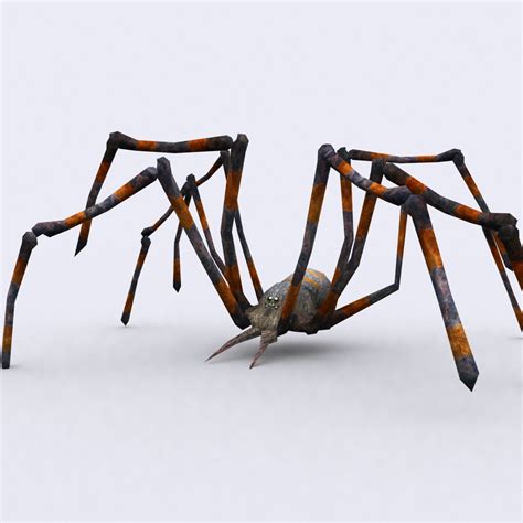 Spiders Pack 3d Model