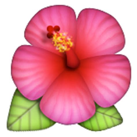Organizations holding cherry blossom festivals like to. 🌺 Hibiscus Emoji (U+1F33A/U+E303)