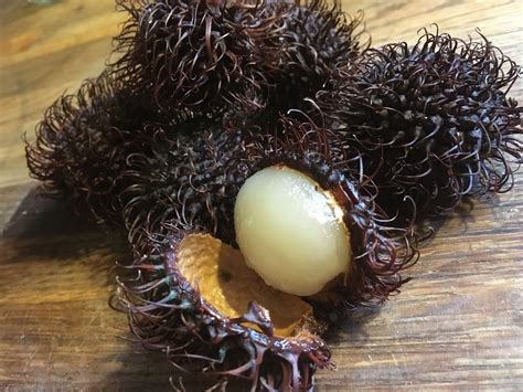 Handmade And Homegrown Weird Hairy Fruit