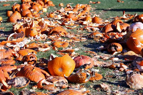 Trash Your Halloween Décor At Bostons First Ever Pumpkin Smash