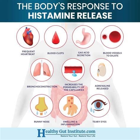 Histamine Issues Learn To Spot Histamine Rich Foods