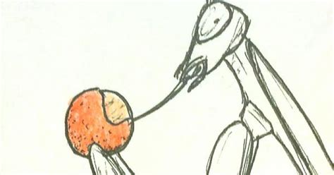 Praying Mantis Eating An Orange Imgur