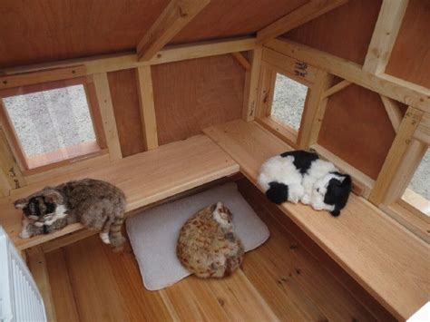 1000 Ideas About Heated Outdoor Cat House On Pinterest Cat Feral