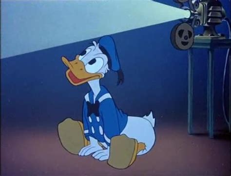 Donald Duck Duck Cartoon Disney Duck Donald Duck
