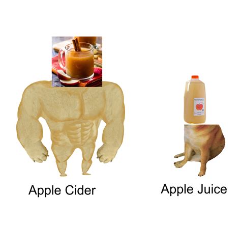 Apple Cider Memes