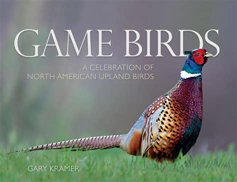 Game Birds Celebration Of North American Birds