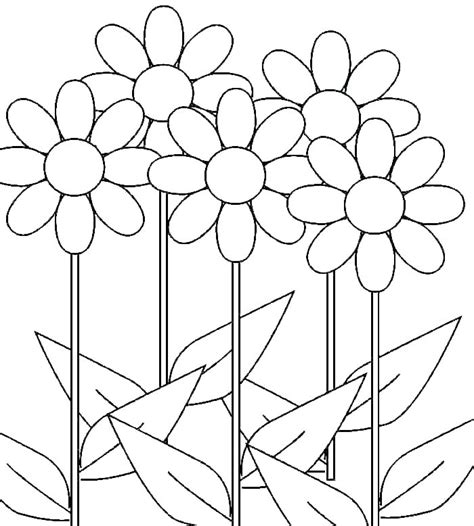 Daisy Coloring Pages Best Coloring Pages For Kids