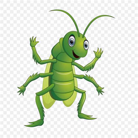 Grasshopper Cartoon Caelifera Illustration Png 1800x1800px Insect
