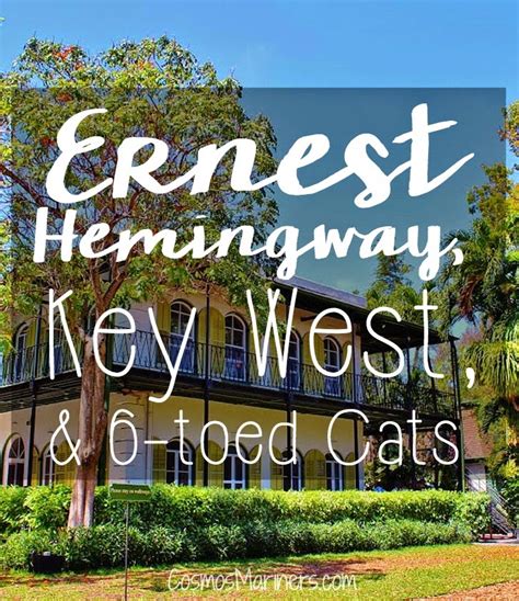 These extra toe beans are usually found on the front paws, but polydactyly can also he soon had over 50 cats on his estate in key west, florida, a majority of them with multiple toes. Ernest Hemingway, Key West, and 6 Toed Cats: Literature ...