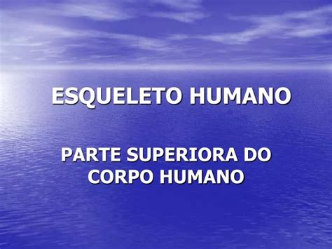 Ppt Esqueleto Humano Powerpoint Presentation Free Download Id938875