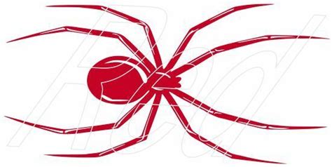 Black Widow Spider Vinyl Graphic Car Decal Sticker 4 Colors And 6
