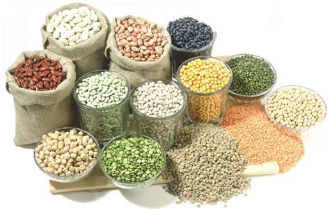 There are many splendid online portal for import and export business operating globally that are helping the commercial t. Grains & Nuts | River Gate Group
