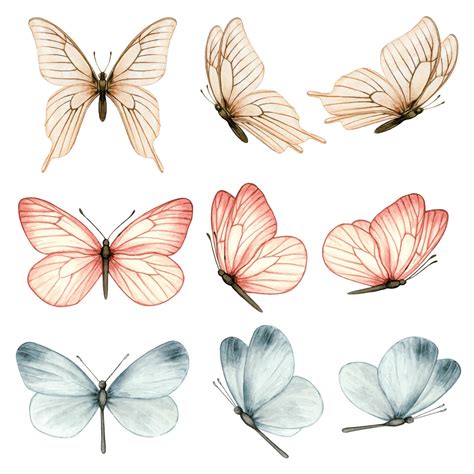 bela coleção de borboletas em aquarela em diferentes posições 2173002