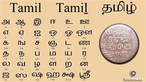 Top 10 Oldest Languages In India Javatpoint 60 Off
