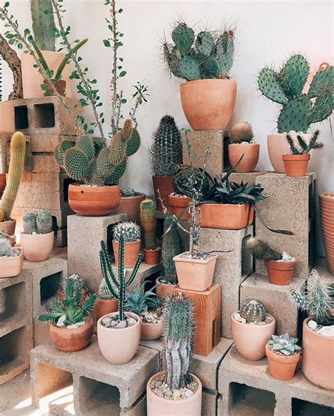 Top Creative Diy Cactus Planters Ideas You Should Copy Right Now No 19