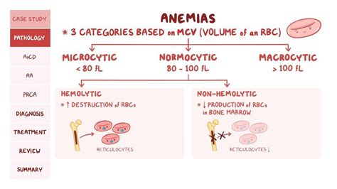 Hemolytic Anemia Treatment
