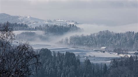 Download Wallpaper 2560x1440 Fog Winter Trees Fir Snow Switzerland