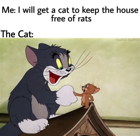 I Think Its Wholesome Meme For Tom And Jerry Lovers Tom And Jerry