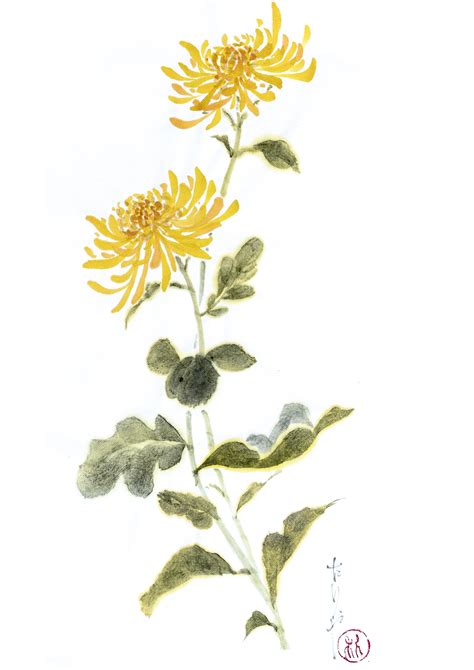 Painting Chrysanthemum Artbrush