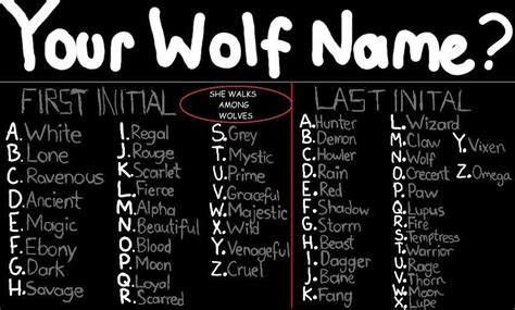 Funny Name Generator Title Generator Name Maker Fantasy Names