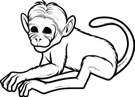 Baby Monkey Drawing Clipart Best