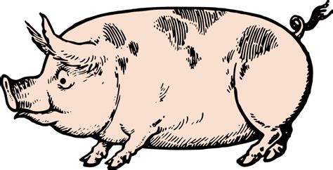 Cute Vintage Pig Clip Art And Stock Vector