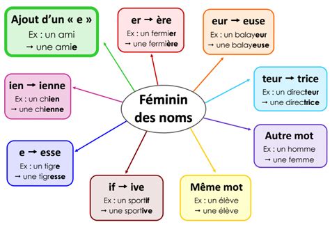 Le féminin des noms Learn french French teaching resources French