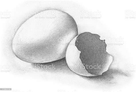Large png 2400px small png 300px. Egg Shell Pencil Sketch Stock Photo & More Pictures of ...