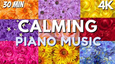 Calming Piano Music Soothing Relaxing Music Drift Away In Flower
