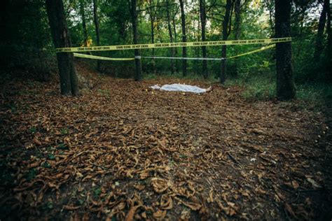 Murder Scene Woods Stock Photos Pictures And Royalty Free Images Istock