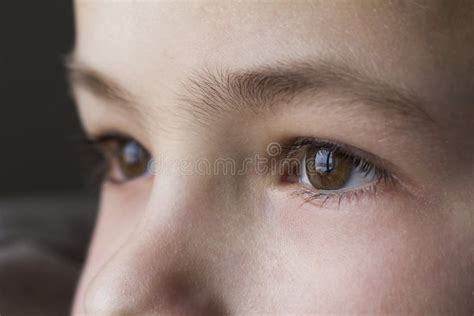 Close Up Macro Of Child Boy Eyes Stock Image Image Of Face Focus