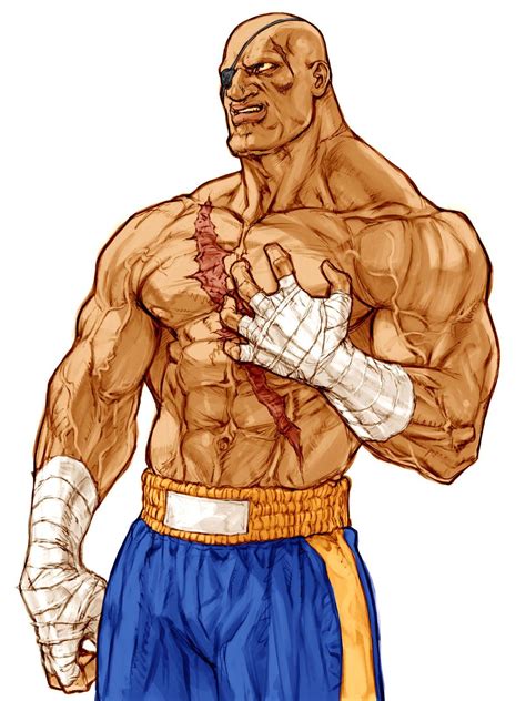 Sagat Wallpapers Wallpaper Cave