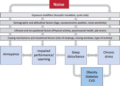 The Framework Of Health Effects Of Noise According To Environmental