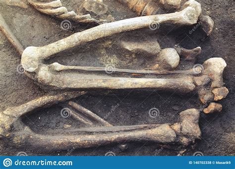 Excavaciones Y Huesos Arqueol Gicos De Los Hallazgos De Un Esqueleto En