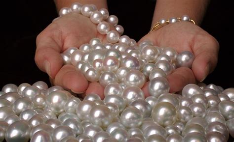 The Worlds Most Expensive Pearls And Pearl Jewelry The Loupe