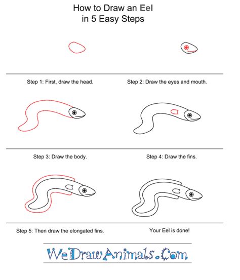 How To Draw A Simple Eel For Kids