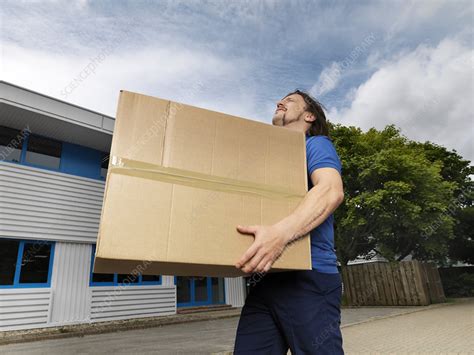 Man Carrying Heavy Box Stock Image F0038775 Science Photo Library