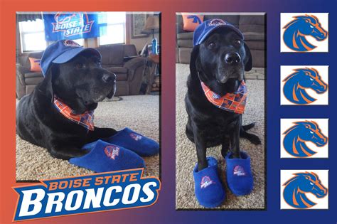 Doctors linda l donerkiel, marnie couch troska, and will dunaway will treat you and your pet like family. Boise State Alumni on Twitter: "Meet Dame. She's 12 years ...