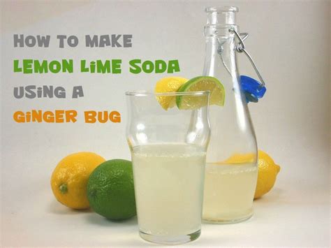 Lemon Lime Ginger Bug Soda Tangy Effervescent Lemon Lime