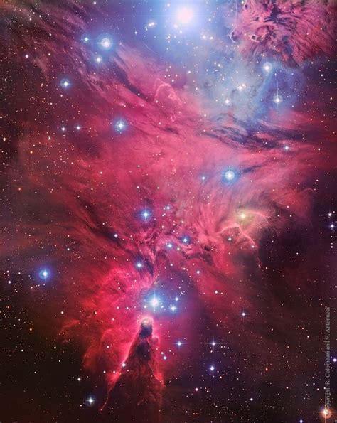 Fox Fur Nebula Astronomia Via Láctea