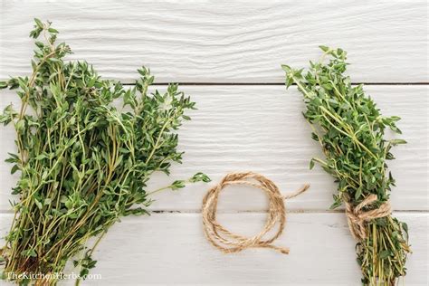 How To Harvest Thyme The Kitchen Herbs