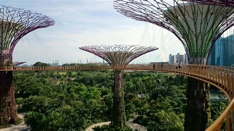 Set in the heart of singapore's downtown, gardens by the bay is home to a diverse collection of over 1.5 million plants that hail from every continent except antarctica. Gardens by the Bay - Super trees Grove & Skyway ...
