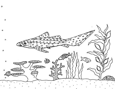 You can make it skinny or wide, short or tall, however you choose. Robin's Great Coloring Pages: Leopard Shark