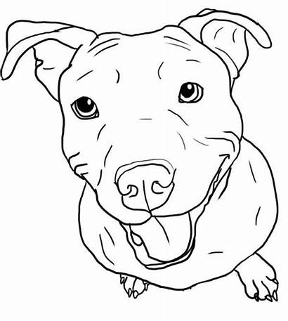 Pitbull Coloring Drawing Pit Bull Easy Dogs