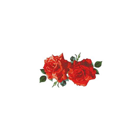 Sticker Flower Rose Roses Aesthetic Sticker By Kpopedits7